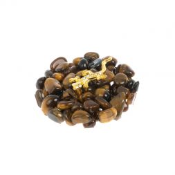 Магнит "Тигровый глаз" с ящерицей 5х5х1 см